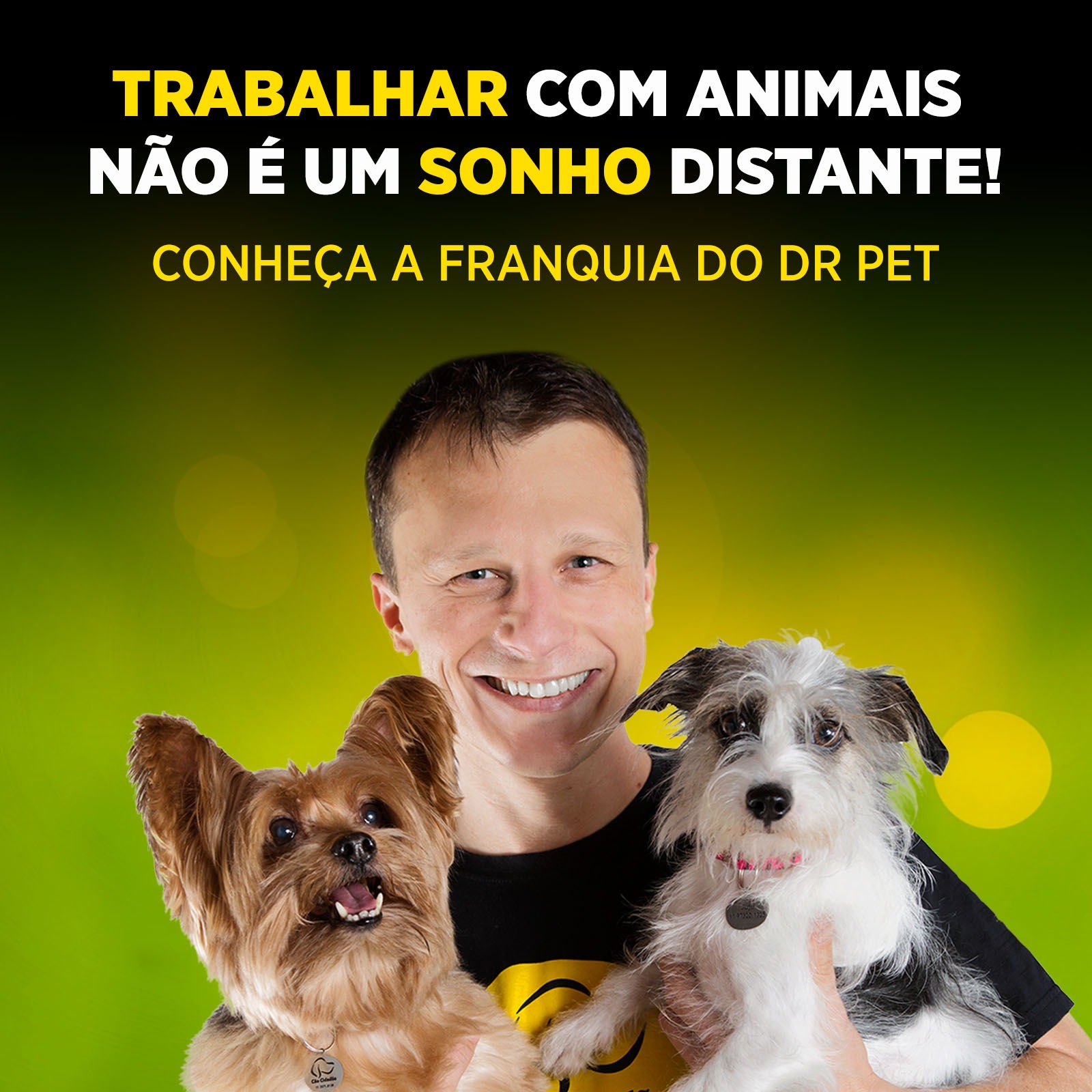 Santander Brasil - Um cachorro de pelúcia que fala, canta e conta piadas +  dois empreendedores cheios de sonhos + o apoio de um banco internacional =  uma multinacional em expansão. A