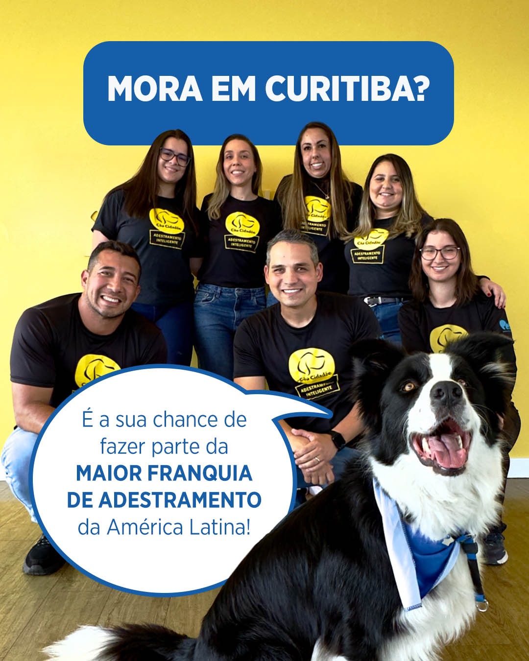 MORA EM CURITIBA? É a sua chance de fazer parte da maior franquia de ...